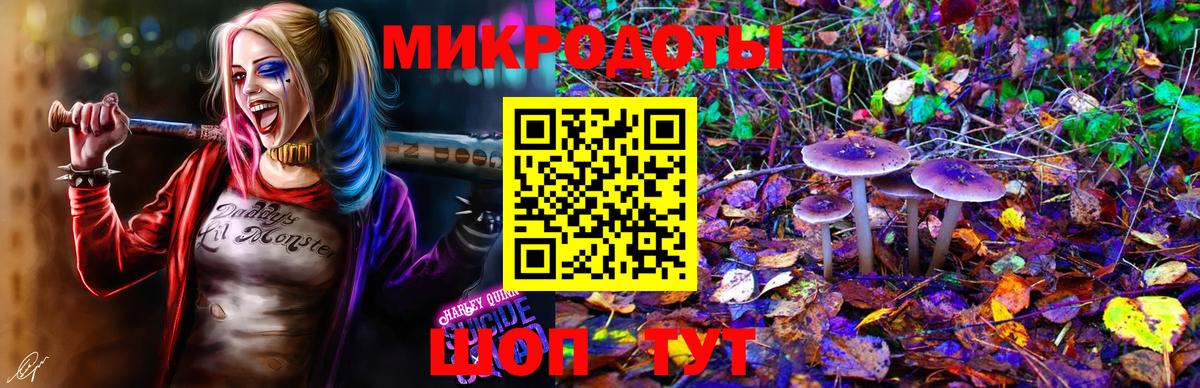 Псилоцибиновые грибы Cubensis Ахтубинск