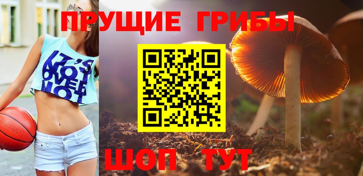 Галлюциногенные грибы MAGIC MUSHROOMS  Вход с VPN  Ахтубинск 